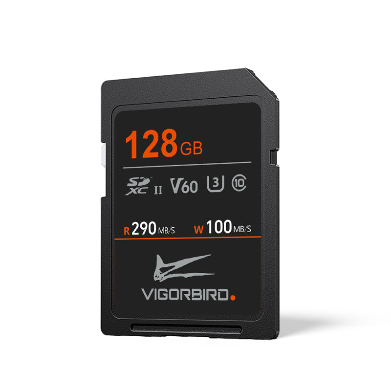 Stegosaur Series V60 SDXC UHS-II SD Memory Cards
