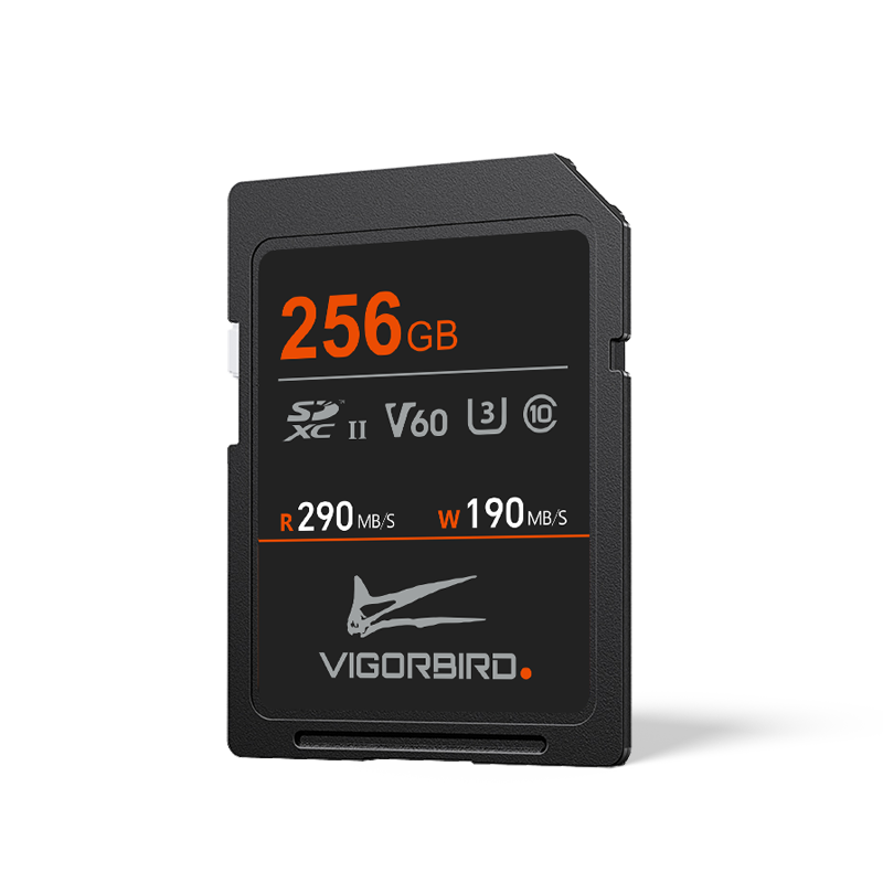 Stegosaur Series V60 SDXC UHS-II SD Memory Cards