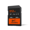 Pterosaur Series V90 SDXC UHS-II SD Memory Cards