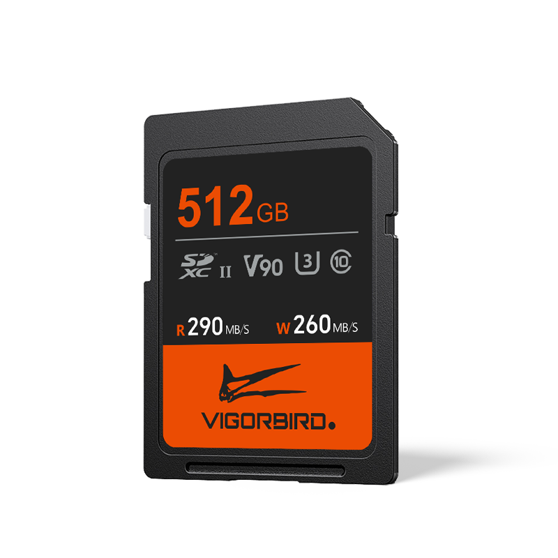 Pterosaur Series V90 SDXC UHS-II SD Memory Cards