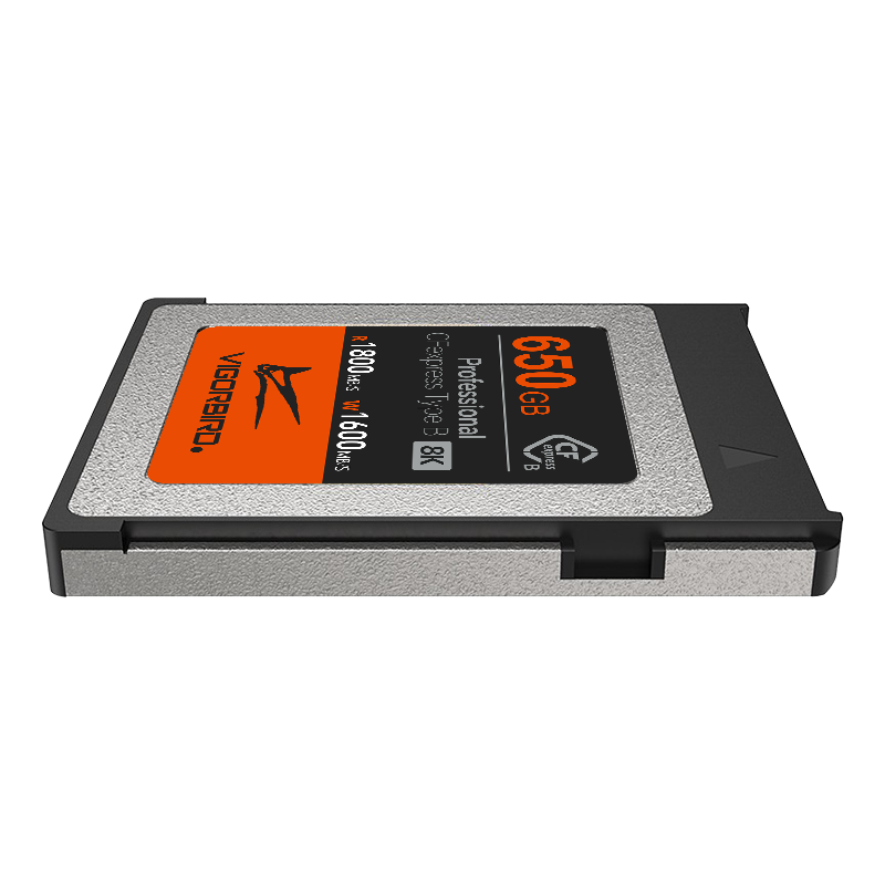 Tyrannosaurus Series Professional CFexpress 2.0 Type B Memory Card
