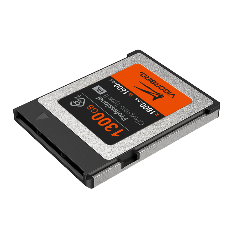 Tyrannosaurus Series Professional CFexpress 2.0 Type B Memory Card