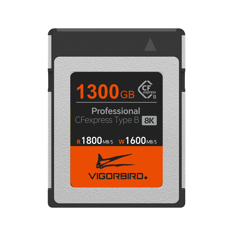 Tyrannosaurus Series Professional CFexpress 2.0 Type B Memory Card