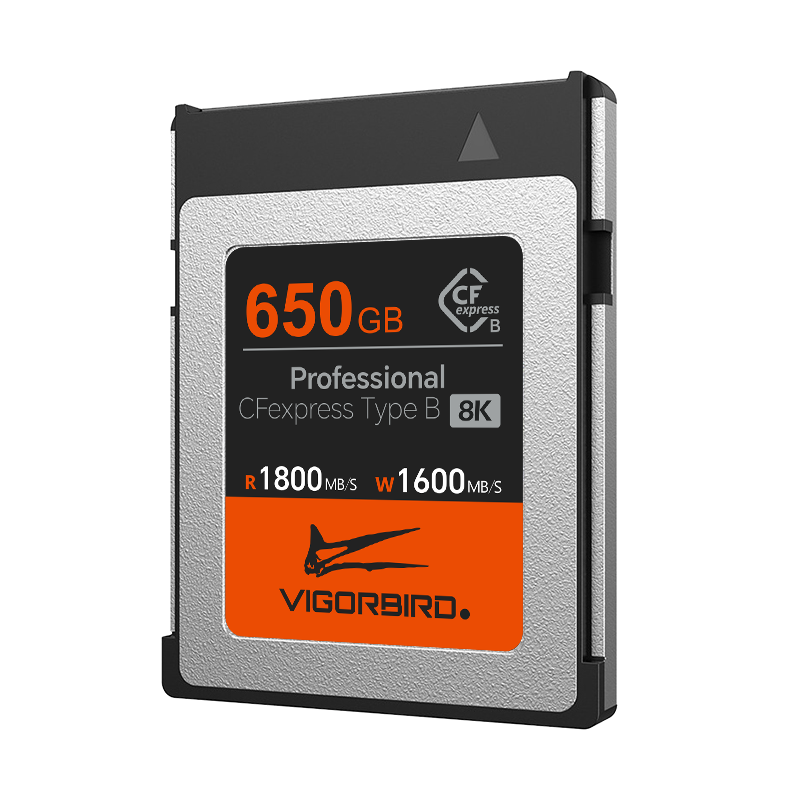 Tyrannosaurus Series Professional CFexpress 2.0 Type B Memory Card