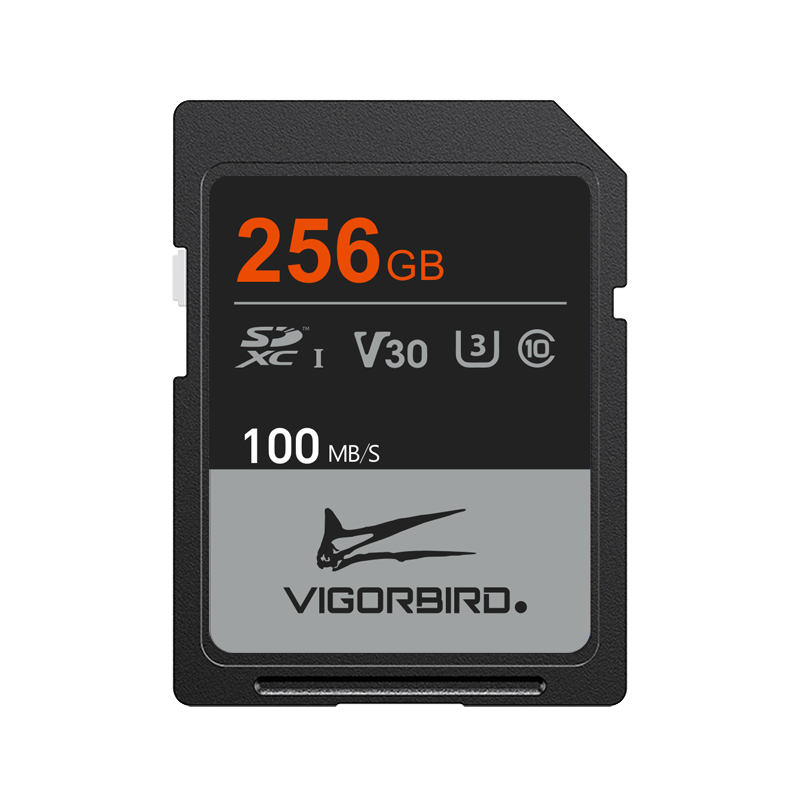 Ceratopsia Series V30 SDXC UHS-I SD Memory Cards