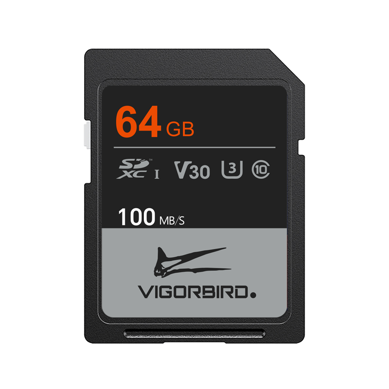 Ceratopsia Series V30 SDXC UHS-I SD Memory Cards