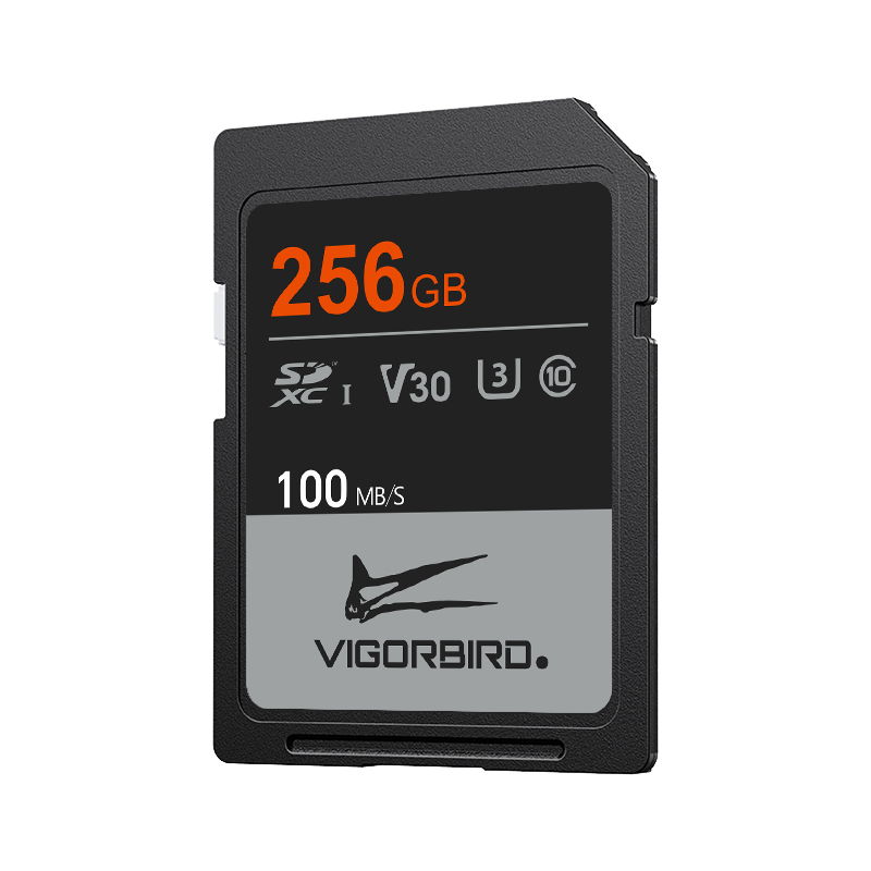 Ceratopsia Series V30 SDXC UHS-I SD Memory Cards