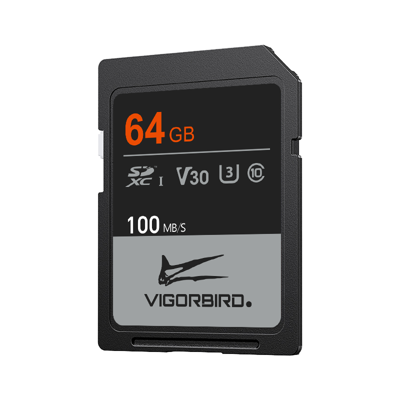 Ceratopsia Series V30 SDXC UHS-I SD Memory Cards