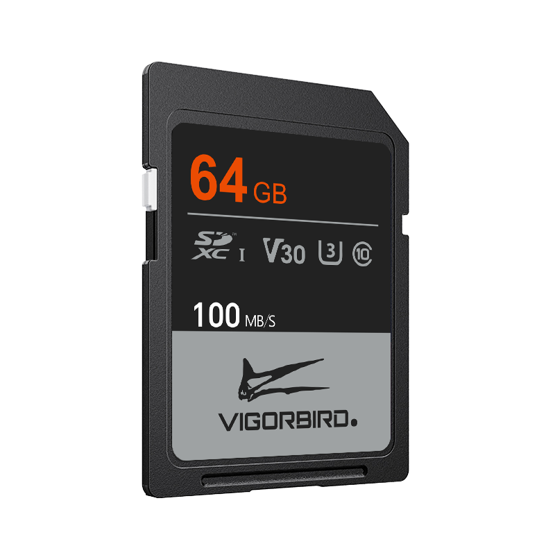 Ceratopsia Series V30 SDXC UHS-I SD Memory Cards