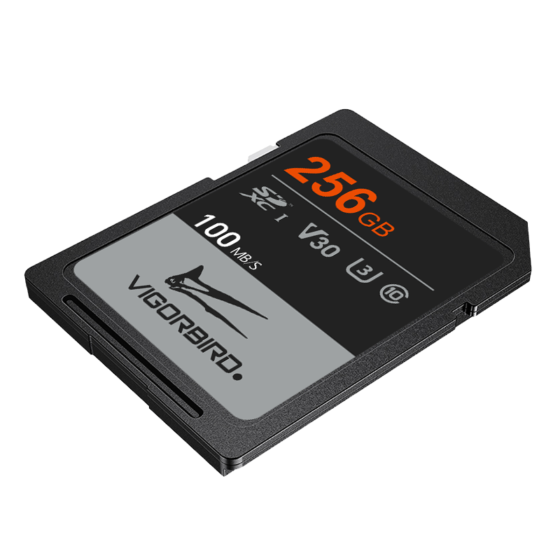 Ceratopsia Series V30 SDXC UHS-I SD Memory Cards