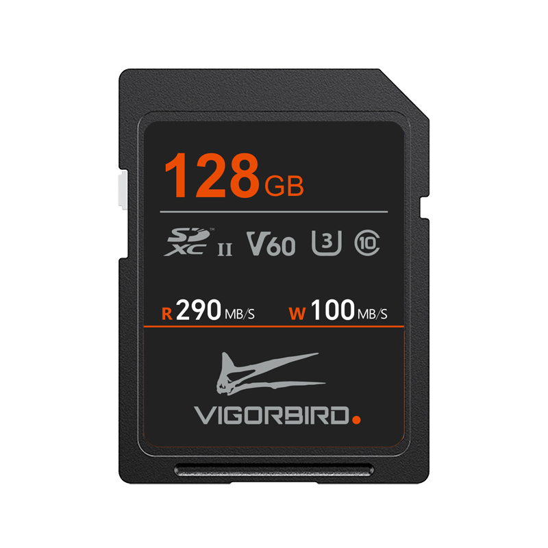 Stegosaur Series V60 SDXC UHS-II SD Memory Cards