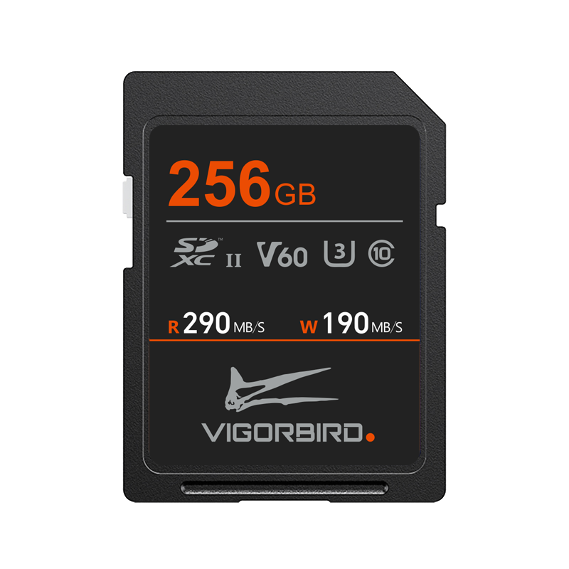 Stegosaur Series V60 SDXC UHS-II SD Memory Cards