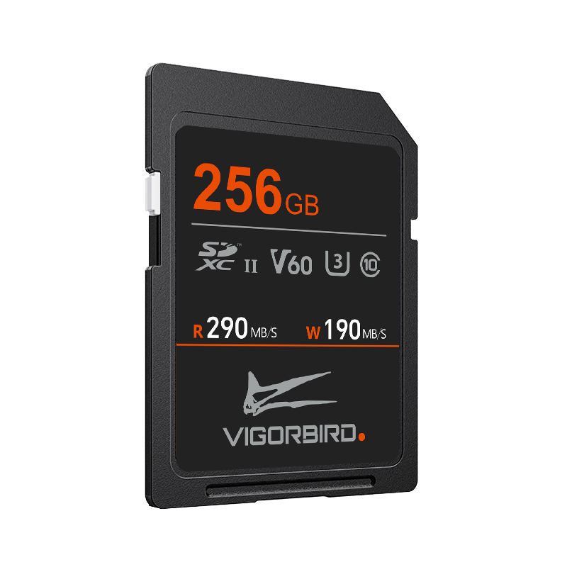 Stegosaur Series V60 SDXC UHS-II SD Memory Cards