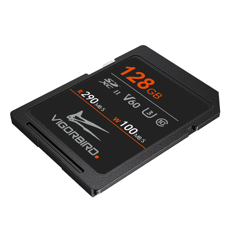 Stegosaur Series V60 SDXC UHS-II SD Memory Cards