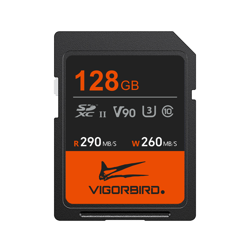 Pterosaur Series V90 SDXC UHS-II SD Memory Cards