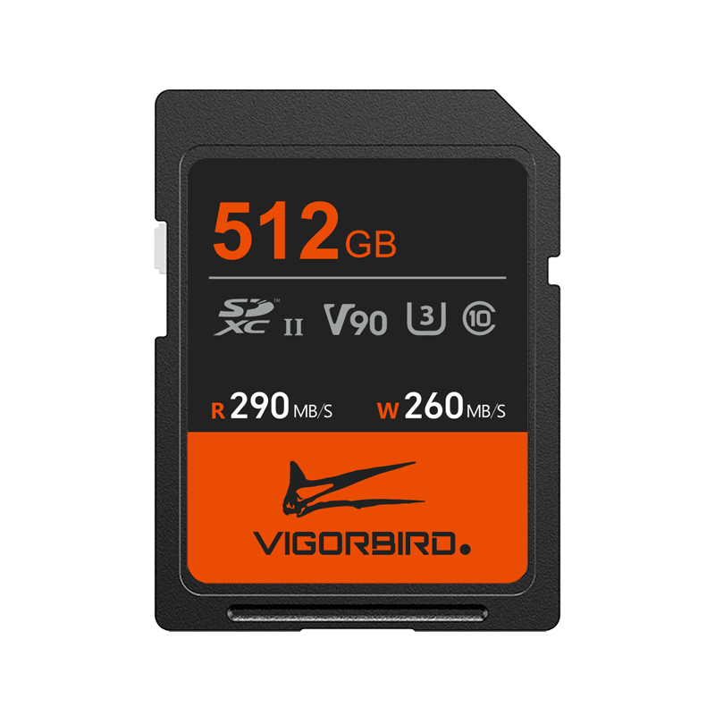 Pterosaur Series V90 SDXC UHS-II SD Memory Cards