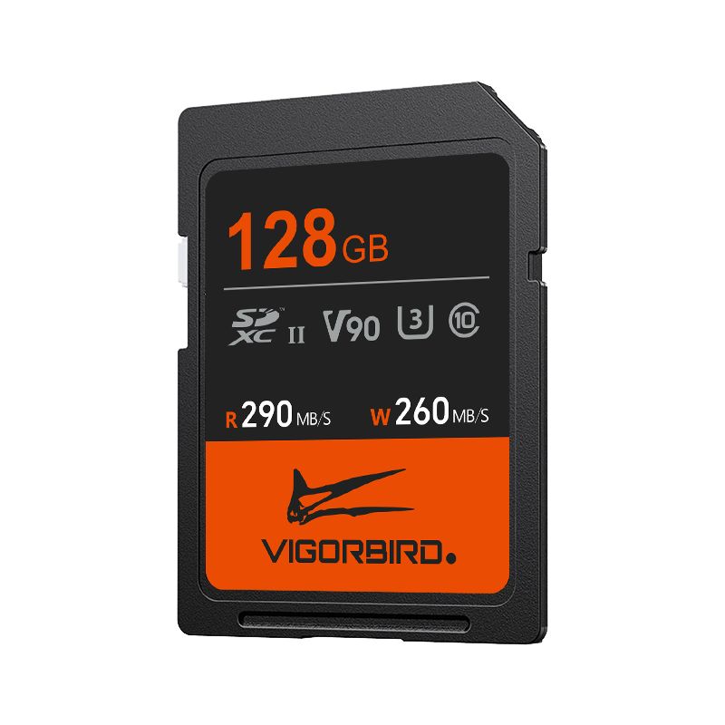 Pterosaur Series V90 SDXC UHS-II SD Memory Cards
