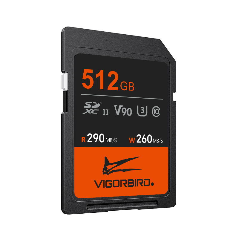 Pterosaur Series V90 SDXC UHS-II SD Memory Cards