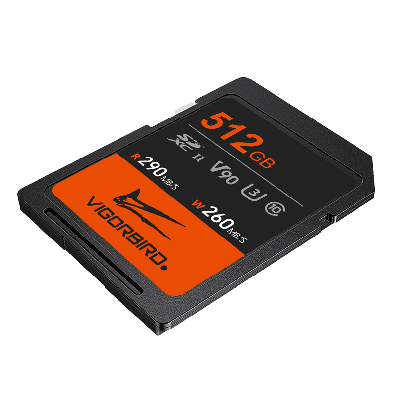 Pterosaur Series V90 SDXC UHS-II SD Memory Cards