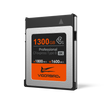 Tyrannosaurus Series Professional CFexpress 2.0 Type B Memory Card