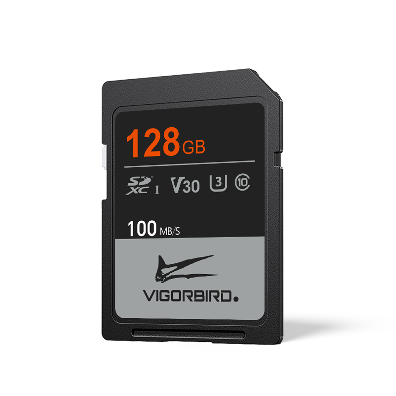 Ceratopsia Series V30 SDXC UHS-I SD Memory Cards