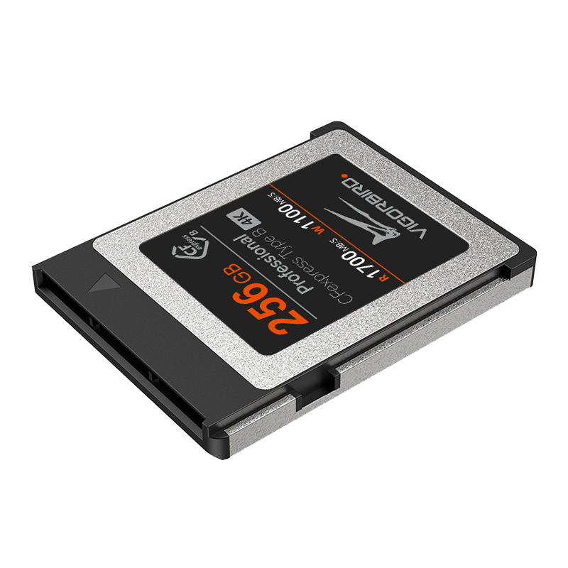 Velociraptor Series Professional CFexpress 2.0 Type B Memory Card