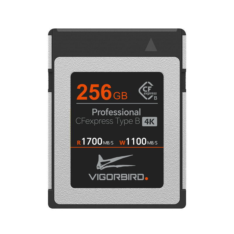Velociraptor Series Professional CFexpress 2.0 Type B Memory Card