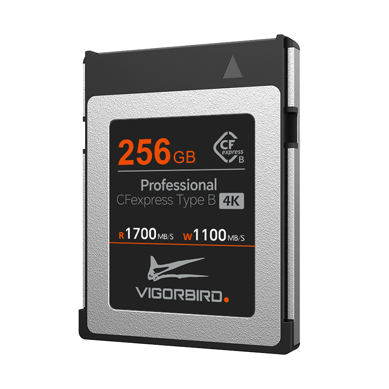 Velociraptor Series Professional CFexpress 2.0 Type B Memory Card